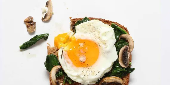 Ispanaklı mantarlı kanepe