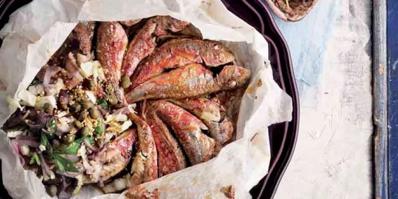 KAĞITTA TEKİR BUĞULAMA