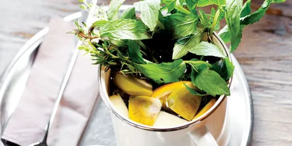 KAHVALTIYA ÖZEL TAZE BİTKİ ÇAYI