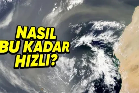 kum-ve-toz-tanecikleri-nasil-oluyor-da-2-ayda-8000-kilometre-yol-alabiliyor-KjLFEKZN.png