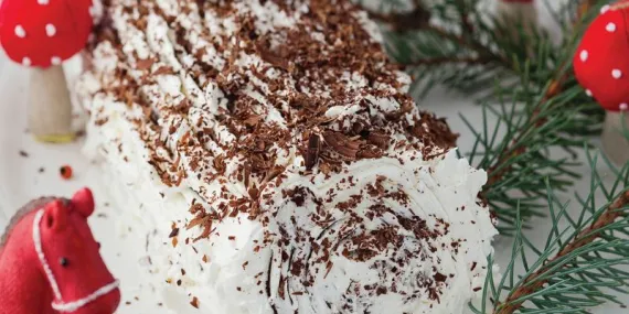 KÜTÜK PASTA (BUCHE DE NOEL)