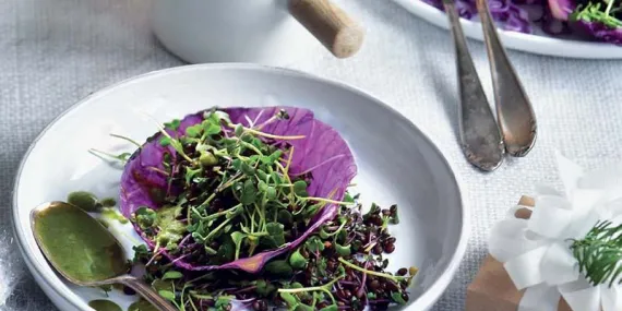 LAHANA KASESİNDE MİKRO YEŞİLLİ MERCİMEK SALATASI