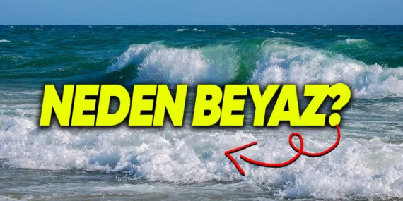 Mavi Görünen Denizde Oluşan Dalgalar Neden Beyaz Görünüyor?