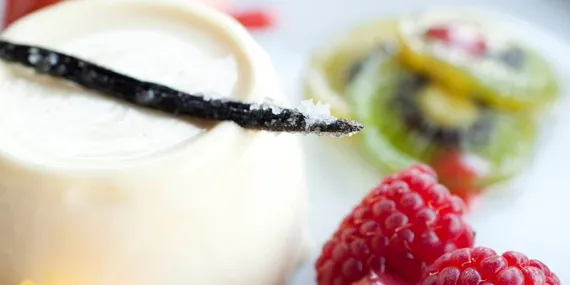 Meyveli vanilya jölesi