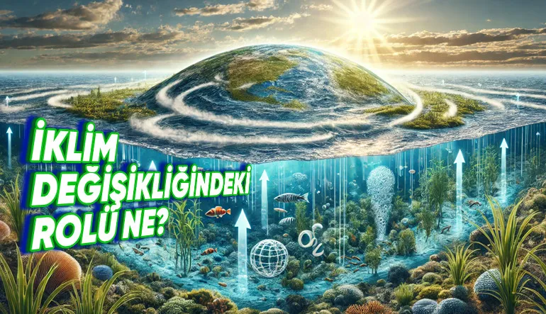 Okyanusların İklim Değişindeki Hayati Rolünü Anlattık: Onlar Olmadan Yaşayamayız!