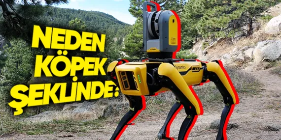 Robotların, Hayvan Şeklinde Tasarlanmasının Çok Mantıklı Bulacağınız Sebepleri