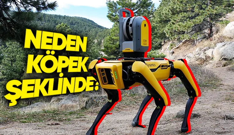 Robotların, Hayvan Şeklinde Tasarlanmasının Çok Mantıklı Bulacağınız Sebepleri