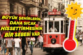 sicaklik-degismemesine-ragmen-neden-bazi-yerlerde-isiyi-cok-daha-fazla-hissederiz-sehir-isi-adasi-CKL7w39Q.png