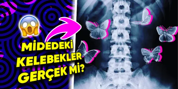 Sıkça Kullandığımız “Birinden Elektrik Almak” ya da “Midemde Kelebekler Uçuşuyor” Tabirleri Fizyolojik Açıdan Gerçek Olabilir mi?