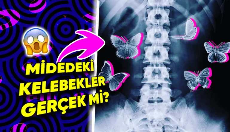 Sıkça Kullandığımız “Birinden Elektrik Almak” ya da “Midemde Kelebekler Uçuşuyor” Tabirleri Fizyolojik Açıdan Gerçek Olabilir mi?