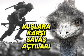 tam-92-yil-once-avustralyanin-emu-kuslarina-actigi-savasin-ilginc-hik-yesi-BWUuQjyK.png
