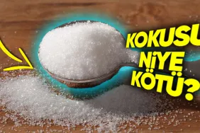 toz-sekerin-tadinin-aksine-neden-kotu-koktugunu-ogrenince-cok-sasiracaksiniz-iJUC2kqf.jpeg