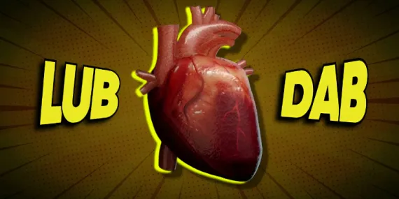 Vücudumuzun Derinliklerine İniyoruz: Kalp Atış Sesimizin Kaynağı Tam Olarak Ne?