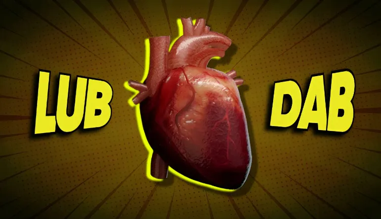 Vücudumuzun Derinliklerine İniyoruz: Kalp Atış Sesimizin Kaynağı Tam Olarak Ne?