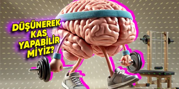Yapılan İlginç Bir Araştırmaya Göre Zihin Gücümüzle Kas Yapmak Mümkün Olabilir! (İyi de Nasıl?)