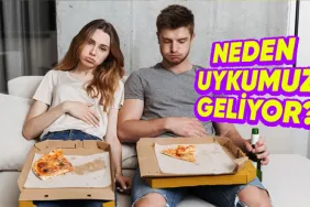 yemek-yedikten-sonra-coken-agirligin-ve-bir-kosede-uyuklama-isteginin-sebebini-acikliyoruz-Z4LSCAhQ.png