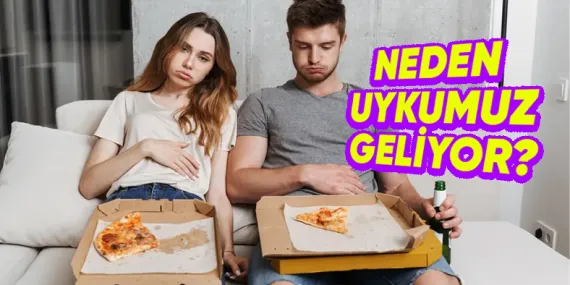 Yemek Yedikten Sonra Çöken Ağırlığın ve Bir Köşede Uyuklama İsteğinin Sebebini Açıklıyoruz!