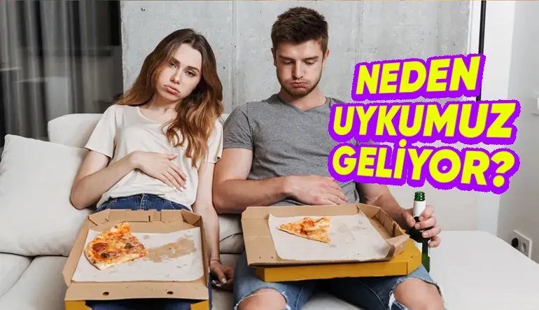 Yemek Yedikten Sonra Çöken Ağırlığın ve Bir Köşede Uyuklama İsteğinin Sebebini Açıklıyoruz!