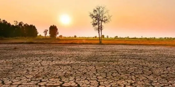 Yeni Bir Araştırmaya Göre Gelecekte Daha da Sıcak Yazlar Kaçınılmaz!