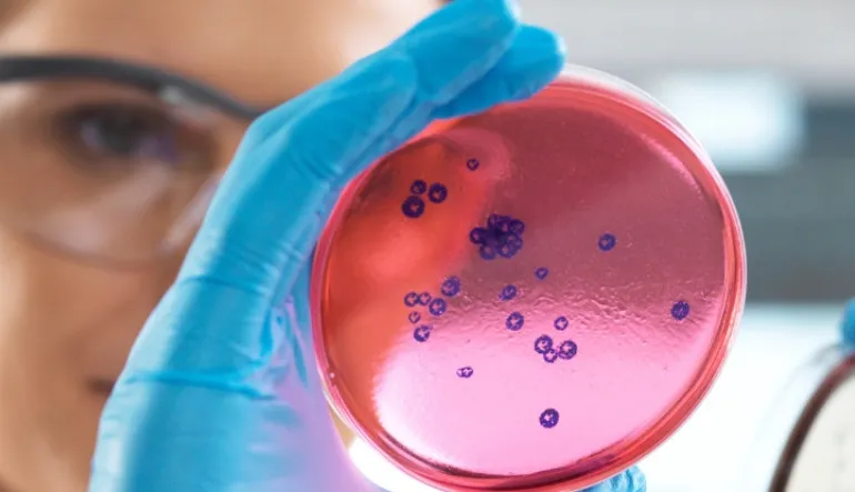 Yeni Bir İlaç, Bakterilerin Bağışıklık Geliştirmesini 100 Milyon Kat Zorlaştırabilir