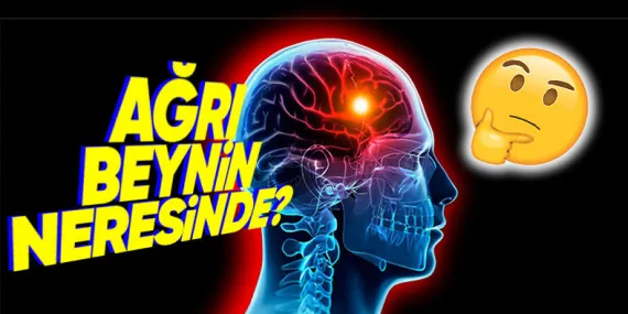 Beynimizin Hangi Kısmı Zarar Görüyor da Baş Ağrısı Yaşıyoruz? Cevap Sizi Şaşırtabilir!