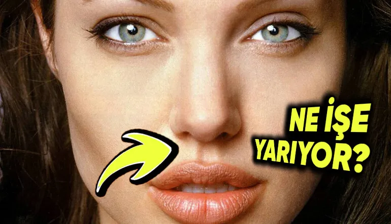 Burnumuzun Altında Yer Alan Bu Küçük Oluğun İşlevi Ne?