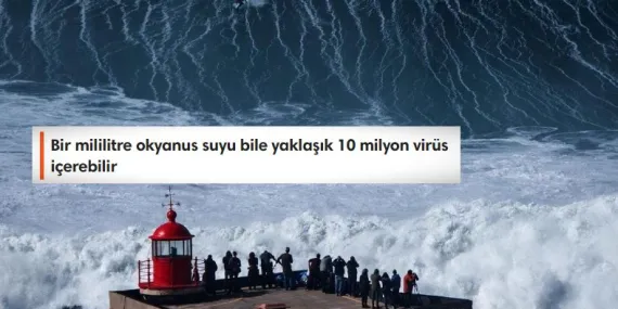 Dünya’nın Büyük Kısmını Kaplayan Okyanuslar Hakkında Tüyler Ürperten 11 Gerçek