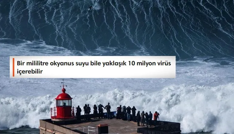 Dünya’nın Büyük Kısmını Kaplayan Okyanuslar Hakkında Tüyler Ürperten 11 Gerçek