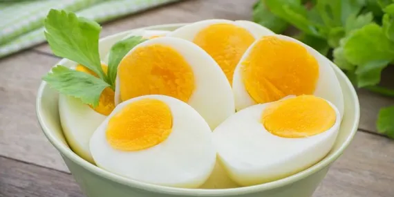 Haşlanmış Yumurta
