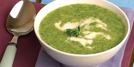 Kremalı Ispanaklı Bebek Çorbası