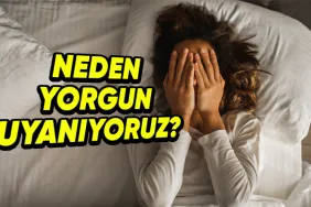 yeterince-uyumus-olsak-bile-sabah-kalktigimizda-neden-h-l-yorgun-hissederiz-fDsycYnq.png