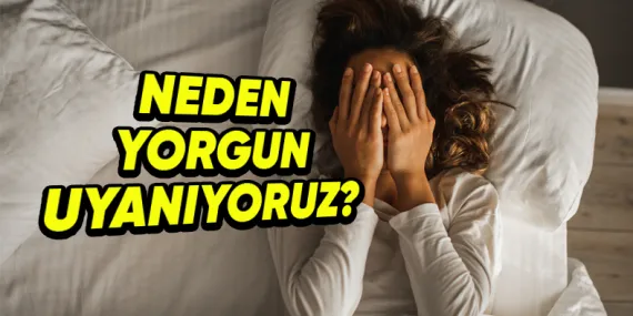 Yeterince Uyumuş Olsak Bile Sabah Kalktığımızda Neden Hâlâ Yorgun Hissederiz?