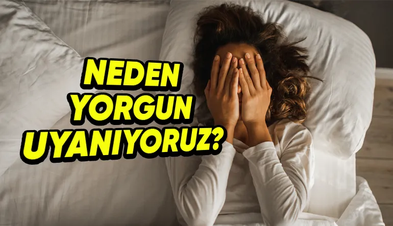 Yeterince Uyumuş Olsak Bile Sabah Kalktığımızda Neden Hâlâ Yorgun Hissederiz?