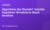 Algoritma Ne Demek? Günlük Hayattan Örneklerle Basit Anlatım