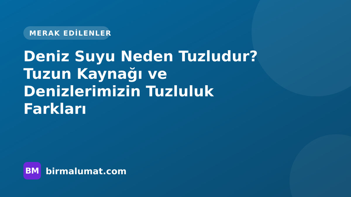 Deniz Suyu Neden Tuzludur? Tuzun Kaynağı ve Denizlerimizin Tuzluluk Farkları