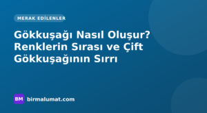 Gökkuşağı Nasıl Oluşur? Renklerin Sırası ve Çift Gökkuşağının Sırrı