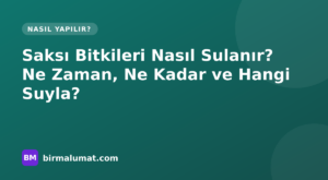 Saksı Bitkileri Nasıl Sulanır? Ne Zaman, Ne Kadar ve Hangi Suyla?