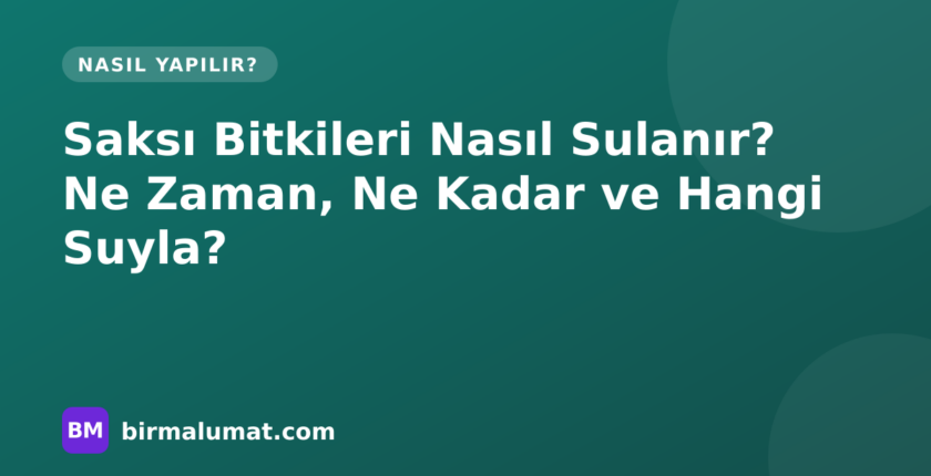 Saksı Bitkileri Nasıl Sulanır? Ne Zaman, Ne Kadar ve Hangi Suyla?