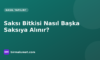Saksı Bitkisi Nasıl Başka Saksıya Alınır? Zamanı, Toprak ve Drenaj Rehberi