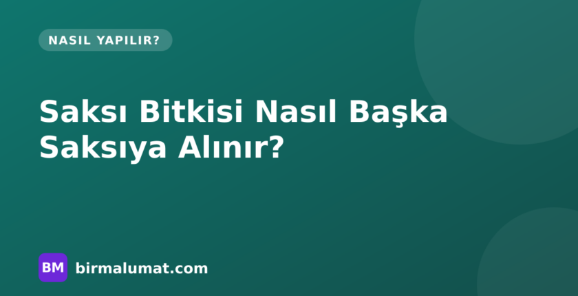 Saksı Bitkisi Nasıl Başka Saksıya Alınır? Zamanı, Toprak ve Drenaj Rehberi